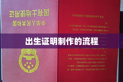 友好出生证明制作的流程