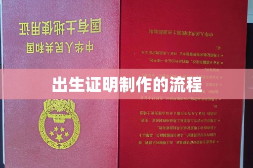 友好出生证明制作的流程