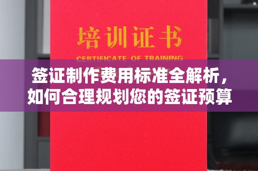 友好签证制作费用标准全解析，如何合理规划您的签证预算？