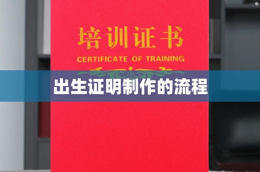 友好出生证明制作的流程